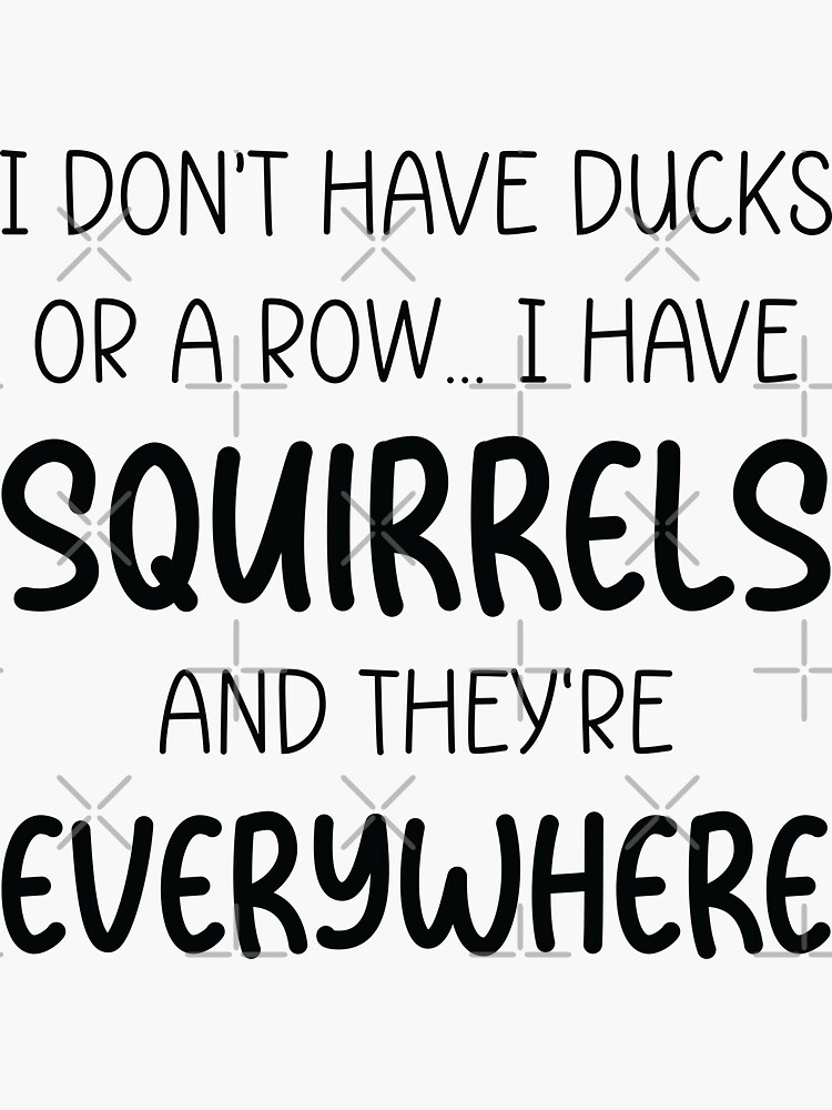 I Don t Have Ducks Or A Row I Have Squirrels And They Are