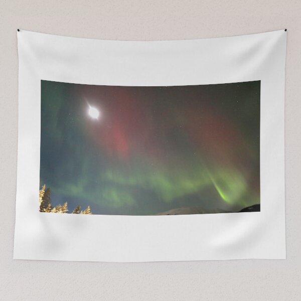 Item preview, All sky lights designed and sold by zumi.