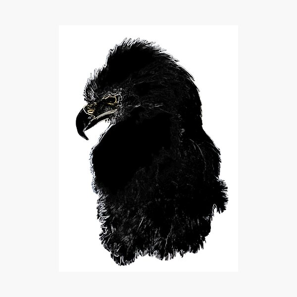 Photographic Print