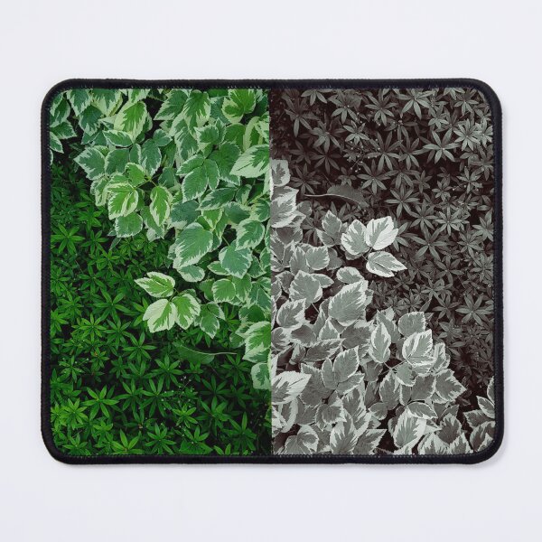 Item preview, Green Leaf Square Art designed and sold by Suncoast-Snaps.