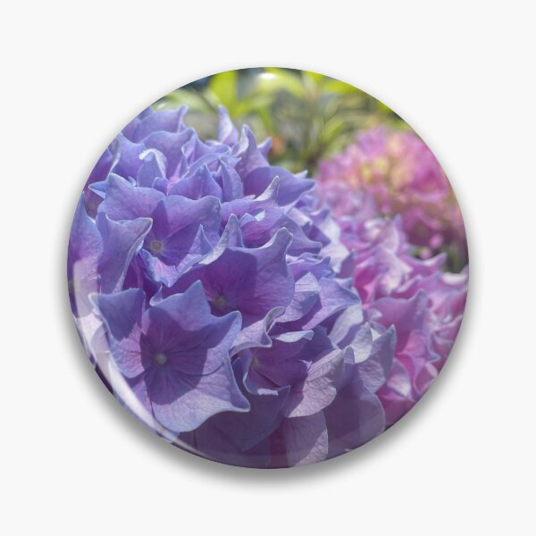 Item preview, Multi-color Hydrangeas designed and sold by Pisces-Pics.