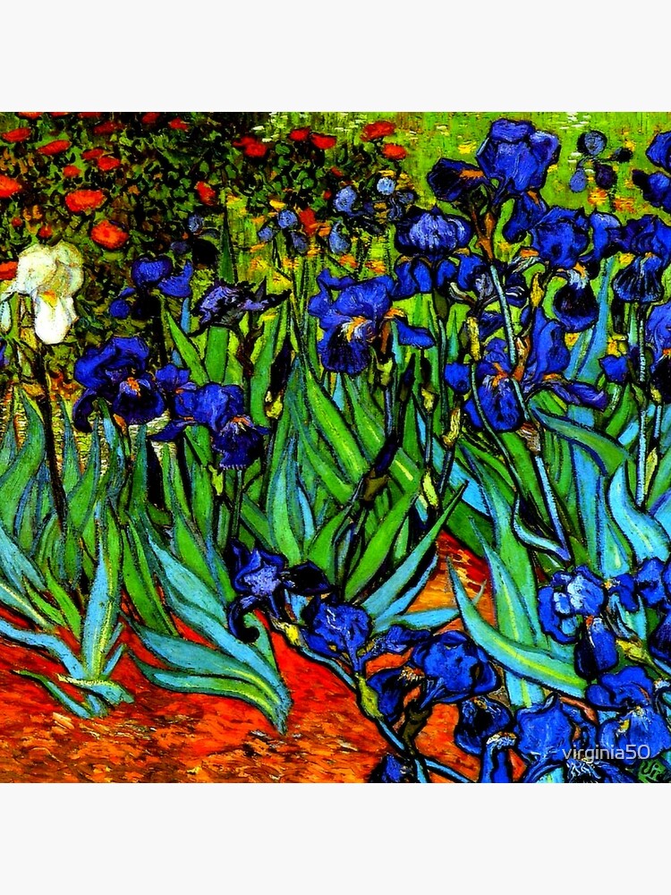 Van Gogh - Irises, famous painting by virginia50