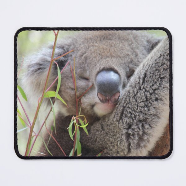 Item preview, Sleepy Koala designed and sold by Linda Sijpkes.