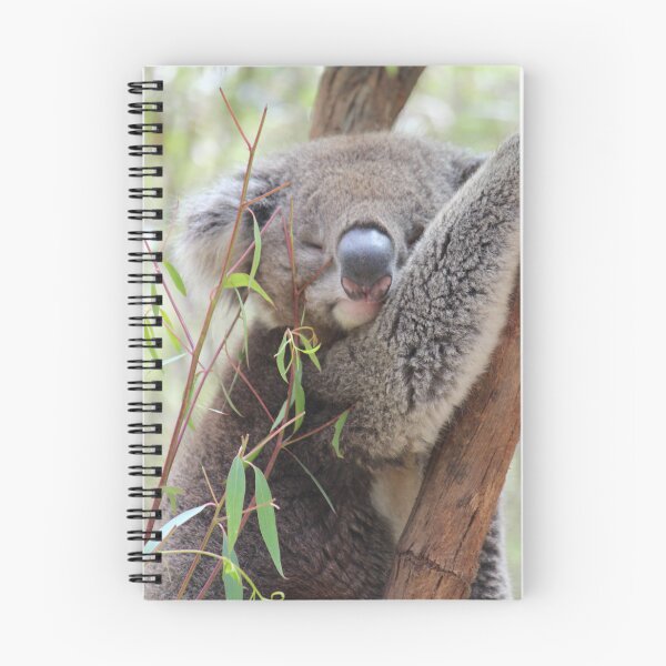 Artikelvorschau, Schläfriger Koala entworfen und verkauft von Linda Sijpkes.