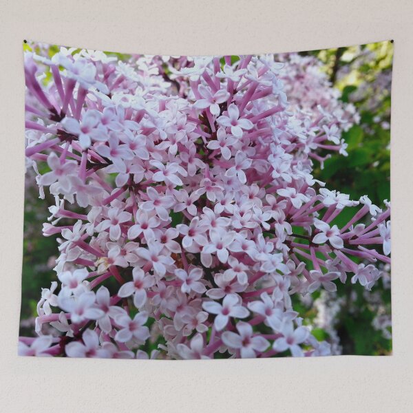 Item preview, Smell the Lilacs designed and sold by bjtomiko.