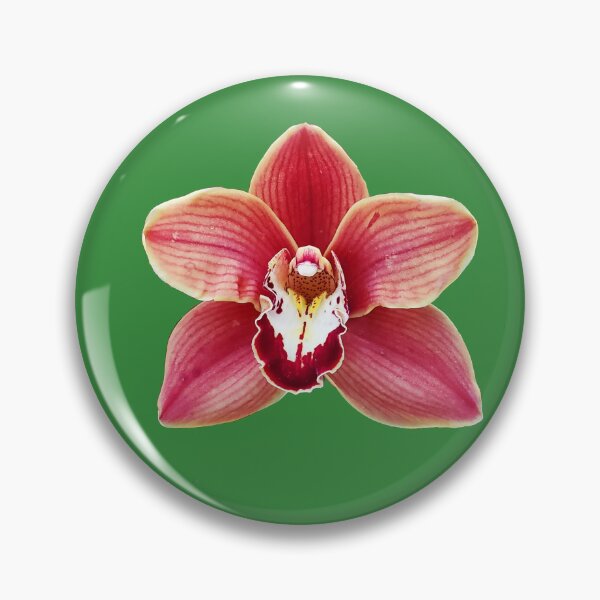 Item preview, Cymbidium, a boat orchid designed and sold by annasofia.