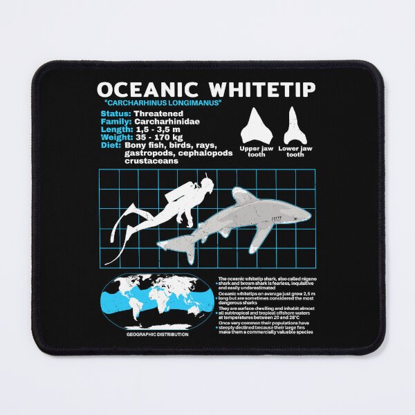 Item preview, Oceanic Whitetip shark data sheet designed and sold by NicGrayGraphic.