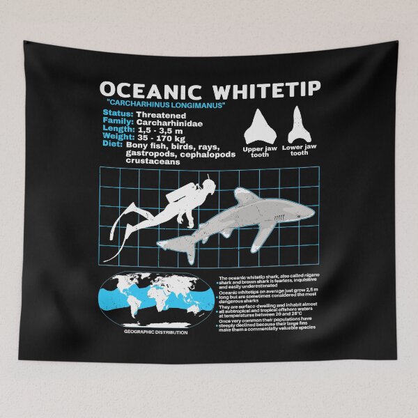 Item preview, Oceanic Whitetip shark data sheet designed and sold by NicGrayGraphic.