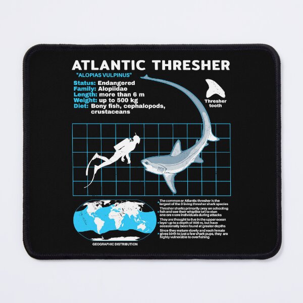 Item preview, Dredger Shark Datasheet designed and sold by NicGrayGraphic.