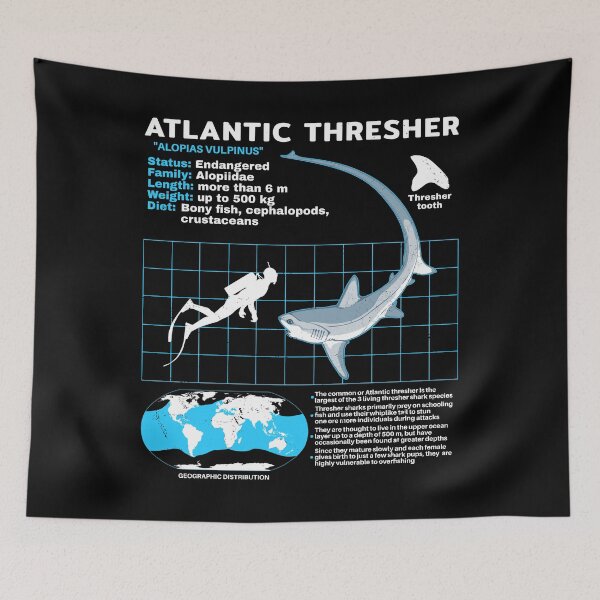Item preview, Dredger Shark Datasheet designed and sold by NicGrayGraphic.