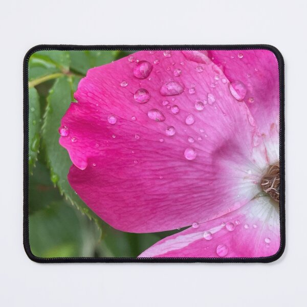 Item preview, Rose in the Rain designed and sold by Pisces-Pics.