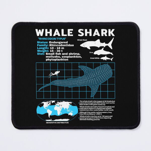 Item preview, Whale shark data sheet designed and sold by NicGrayGraphic.