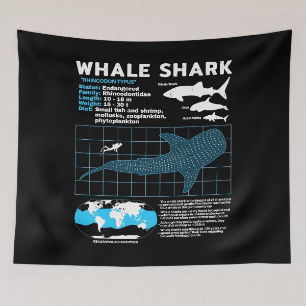 Item preview, Whale shark data sheet designed and sold by NicGrayGraphic.