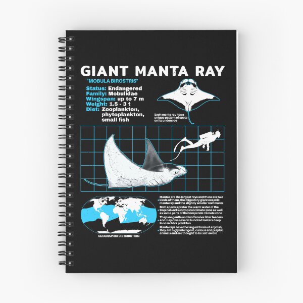 Item preview, Manta ray data sheet designed and sold by NicGrayGraphic.