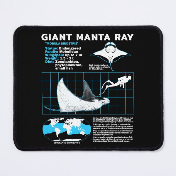 Item preview, Manta ray data sheet designed and sold by NicGrayGraphic.
