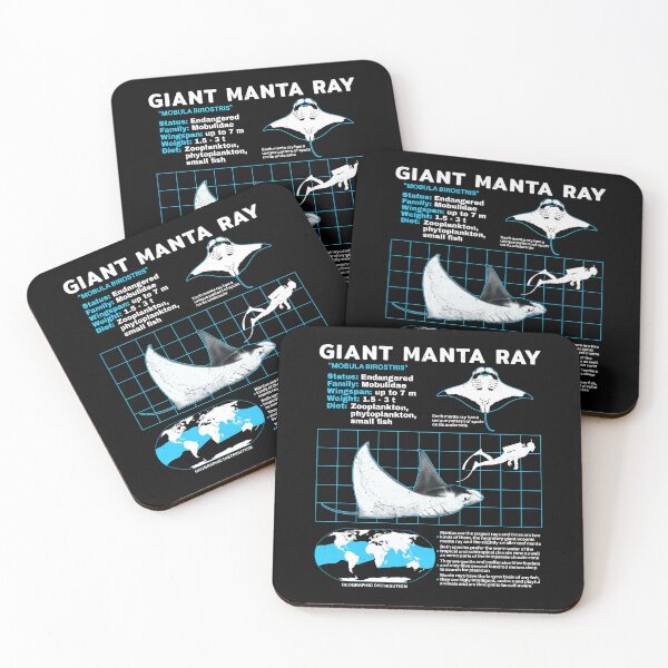 Item preview, Manta ray data sheet designed and sold by NicGrayGraphic.