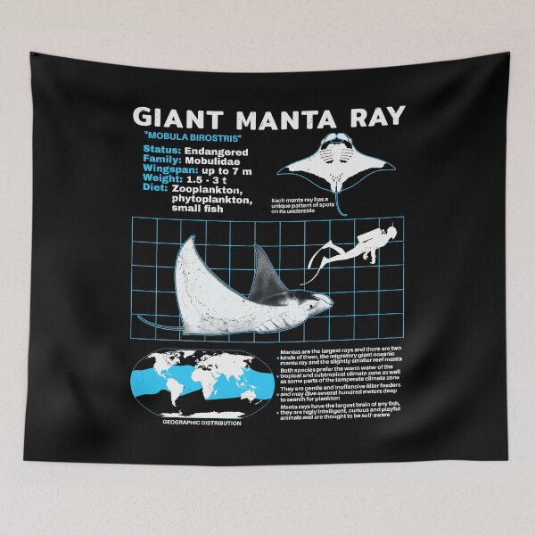 Item preview, Manta ray data sheet designed and sold by NicGrayGraphic.