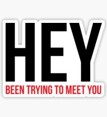 HEY been trying to meet you Sticker