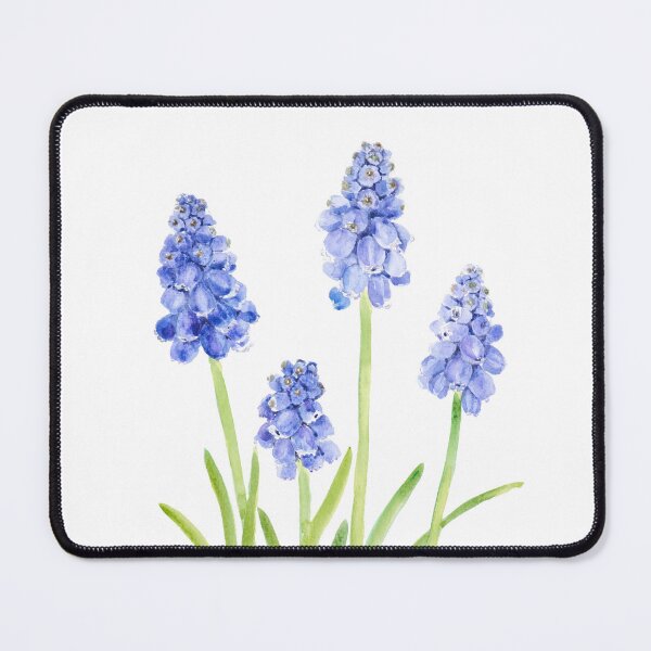 Item preview, blue grape hyacinth watercolor 2023 hand painted  designed and sold by ColorandColor.