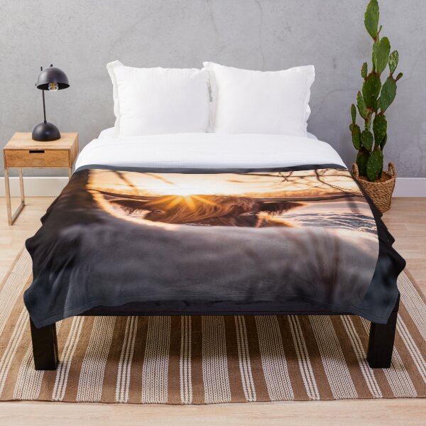 Item preview, Beautiful Highland Cattle designed and sold by LividPhoto.