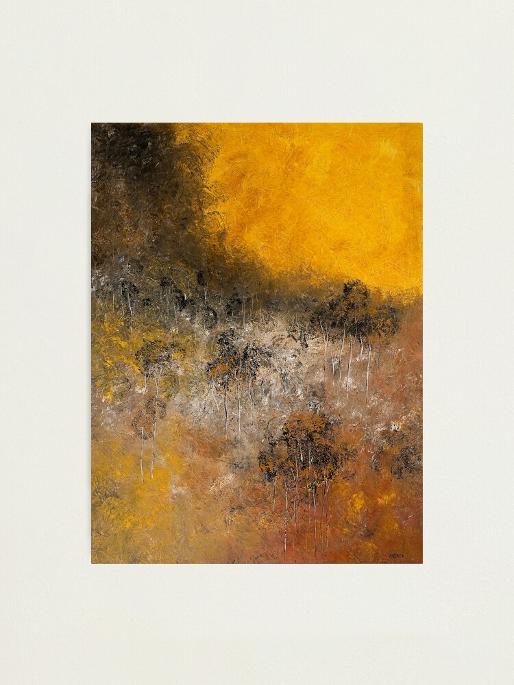 Alternate view of FIRE TRAIL Photographic Print