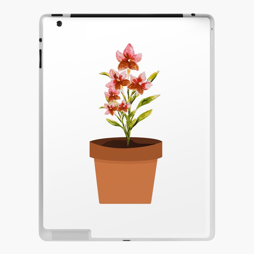 Isolated flower inside pot design Royalty Free Vector Image