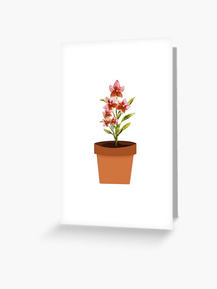 Flower pot design / sketchbook / process paint by chernyshov on DeviantArt