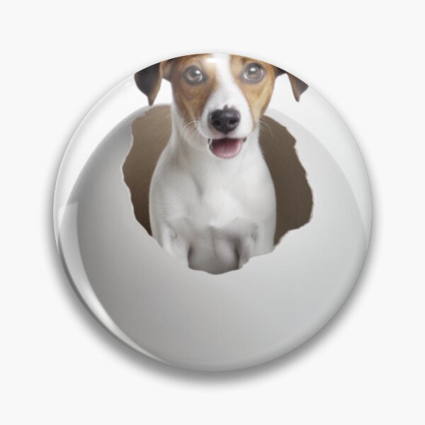 Aperçu de l'œuvre Chien dans l'oeuf créée et vendue par AI543 PAN.