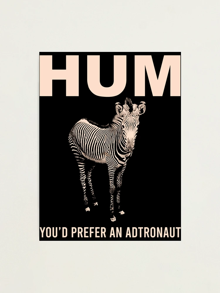 fpp,medium,metallic,