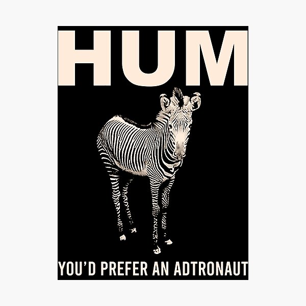Hum Youd Prefer An Astronaut