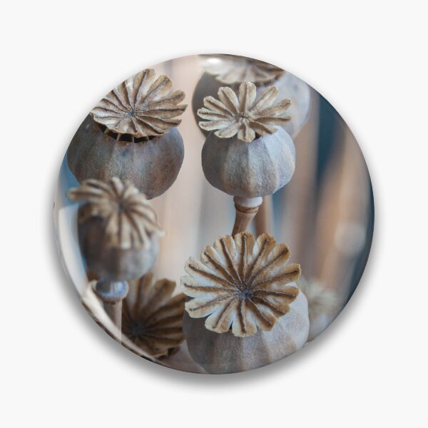 Item preview, Seed pod image  designed and sold by RoyalArts53.