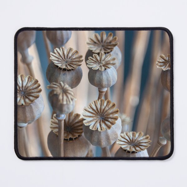 Item preview, Seed pod image  designed and sold by RoyalArts53.
