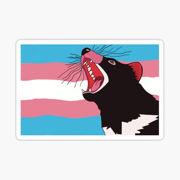 Tassie Trans Pride Sticker