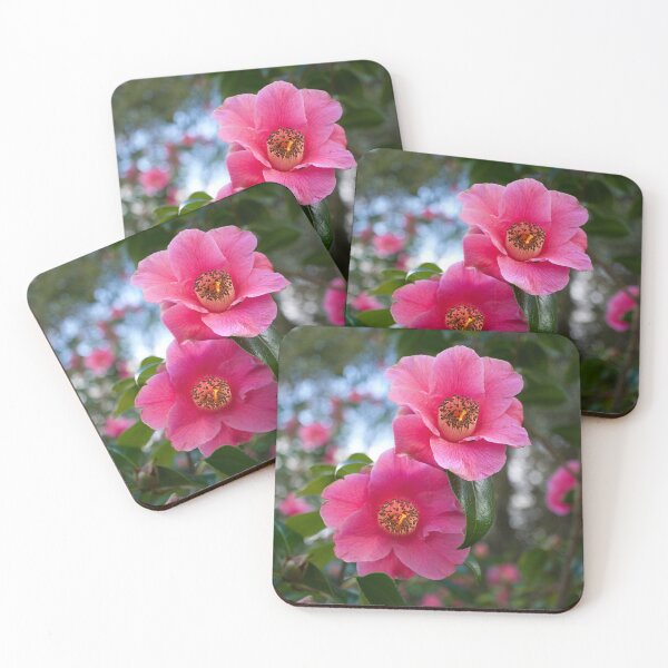 Item preview, Camellias designed and sold by Alisonchambers2.