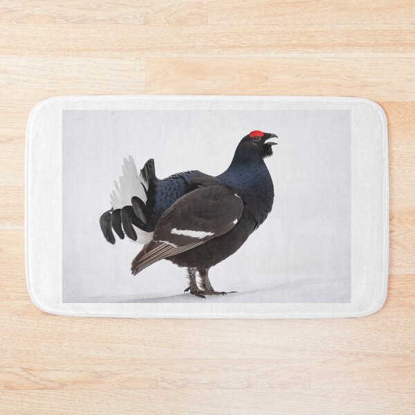 Item preview, Black grouse in courtship designed and sold by Ingo Gerlach.