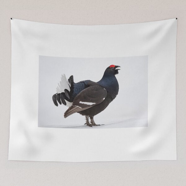 Item preview, Black grouse in courtship designed and sold by Ingo Gerlach.