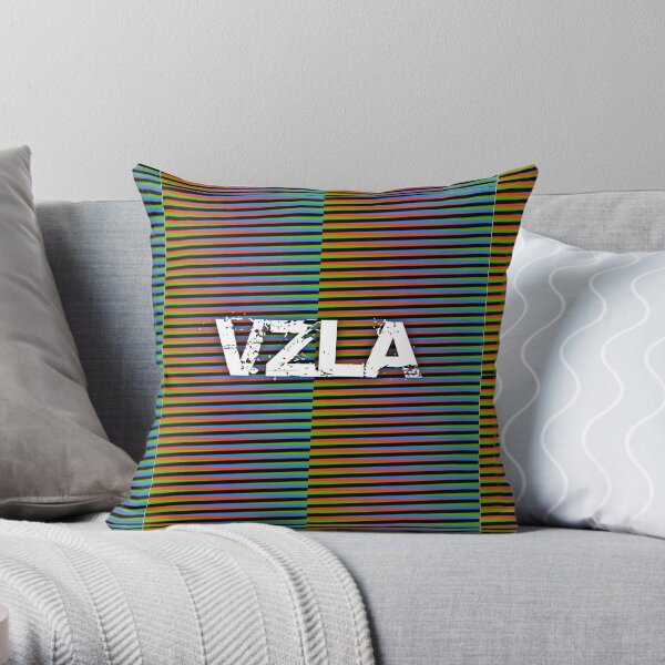 CARLOS CRUZ DIEZ VENEZUELA Cojín