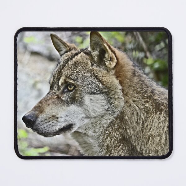 Item preview, gray wolf designed and sold by ser-Ile.