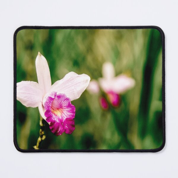 Item preview, Orchid designed and sold by PhotographicAl.