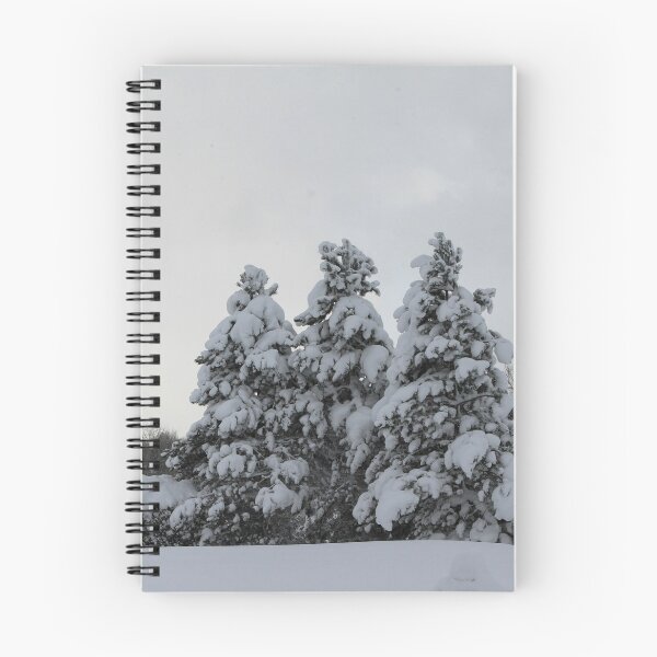 Item preview, Winter Wonderland - Let It Snow - Fir Trees designed and sold by picturedlcphoto.