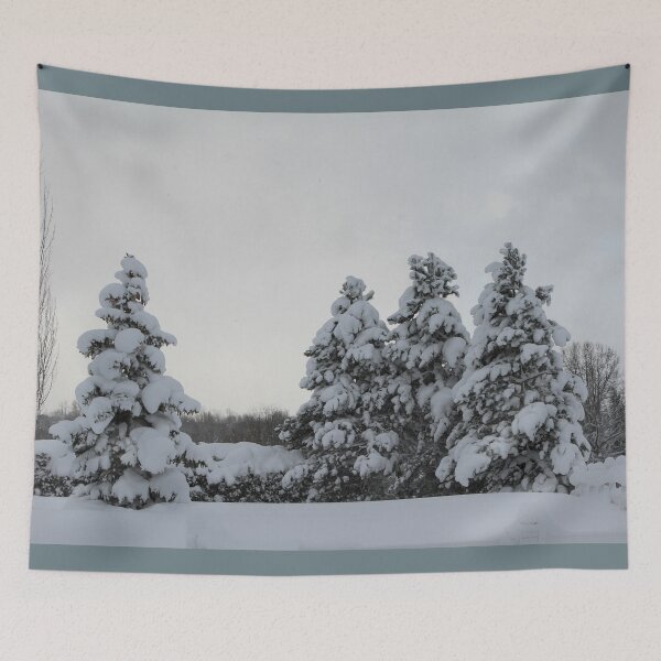 Item preview, Winter Wonderland - Let It Snow - Fir Trees designed and sold by picturedlcphoto.
