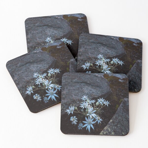 Item preview, Flannel Flower Sunrise designed and sold by Geoff Wols.