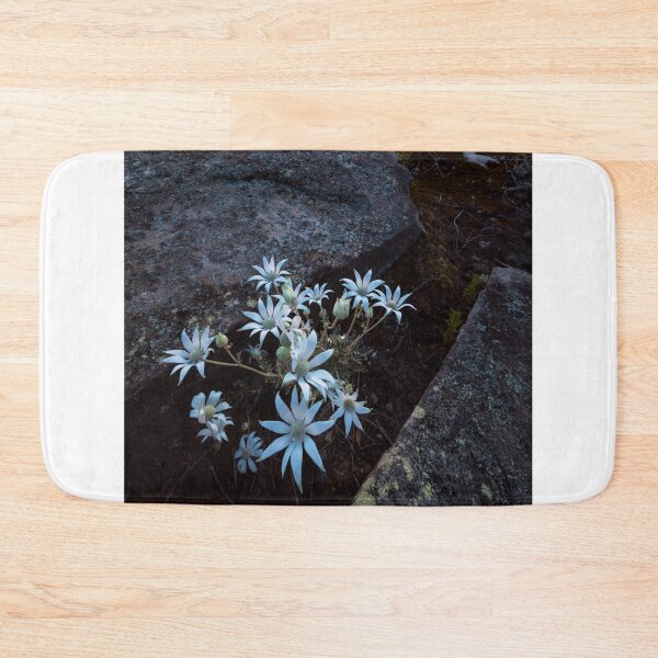 Item preview, Flannel Flower Sunrise designed and sold by Geoff Wols.