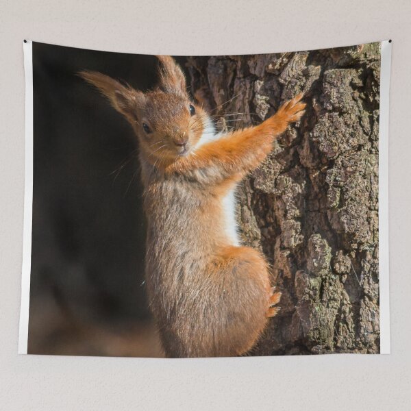 Item preview, Hanging on designed and sold by HaleyRedshaw.