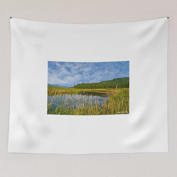 Item preview, Plummer Creek Marsh designed and sold by Jeff Goulden Photography.