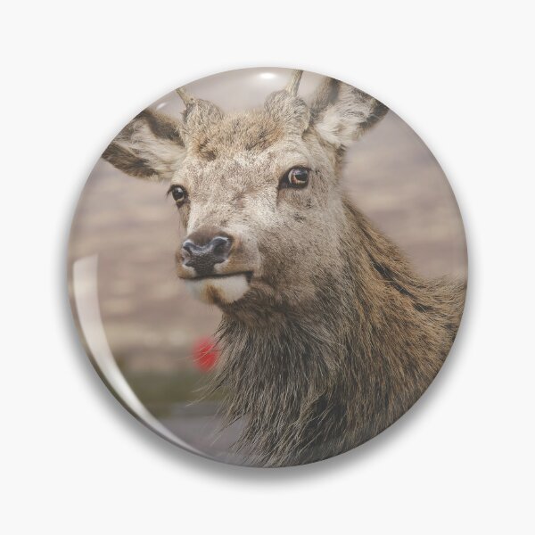 Item preview, Scottish Highland Deer  designed and sold by TMcG72.