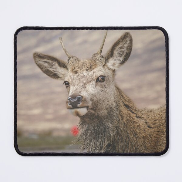Item preview, Scottish Highland Deer designed and sold by TMcG72.