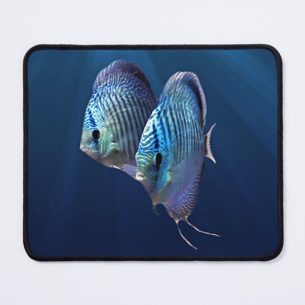 Item preview, DISCUS FISH, blue snakeskin designed and sold by Danicus666.