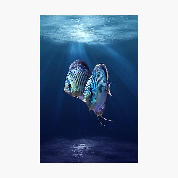 Item preview, DISCUS FISH, blue snakeskin designed and sold by Danicus666.