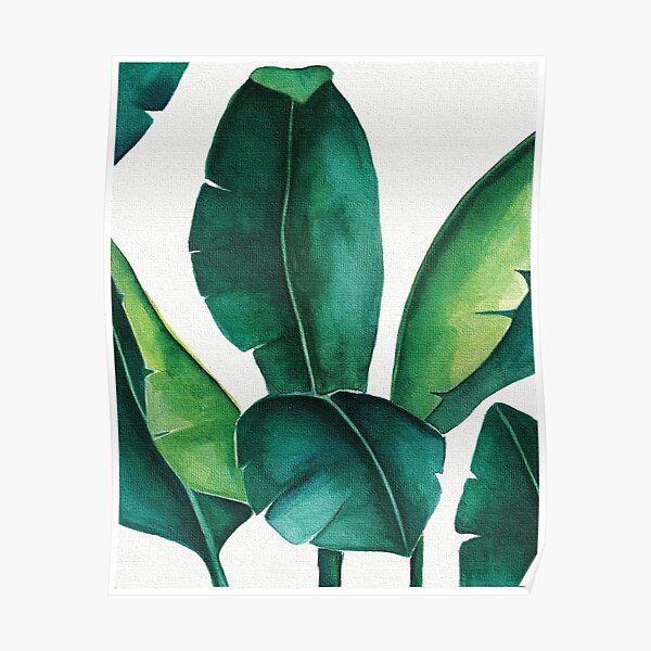 Banana leaves with wonderful contrast and canvas effect. Poster